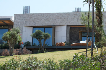 Epique Island 2